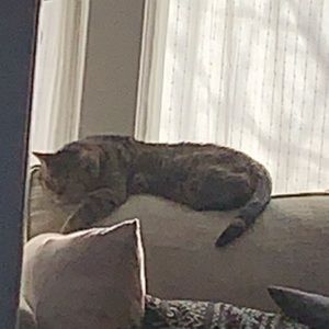 Meet your Posher, Naomi